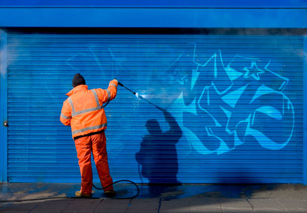 Best Local Pressure Washing Services  in Progress, PA
